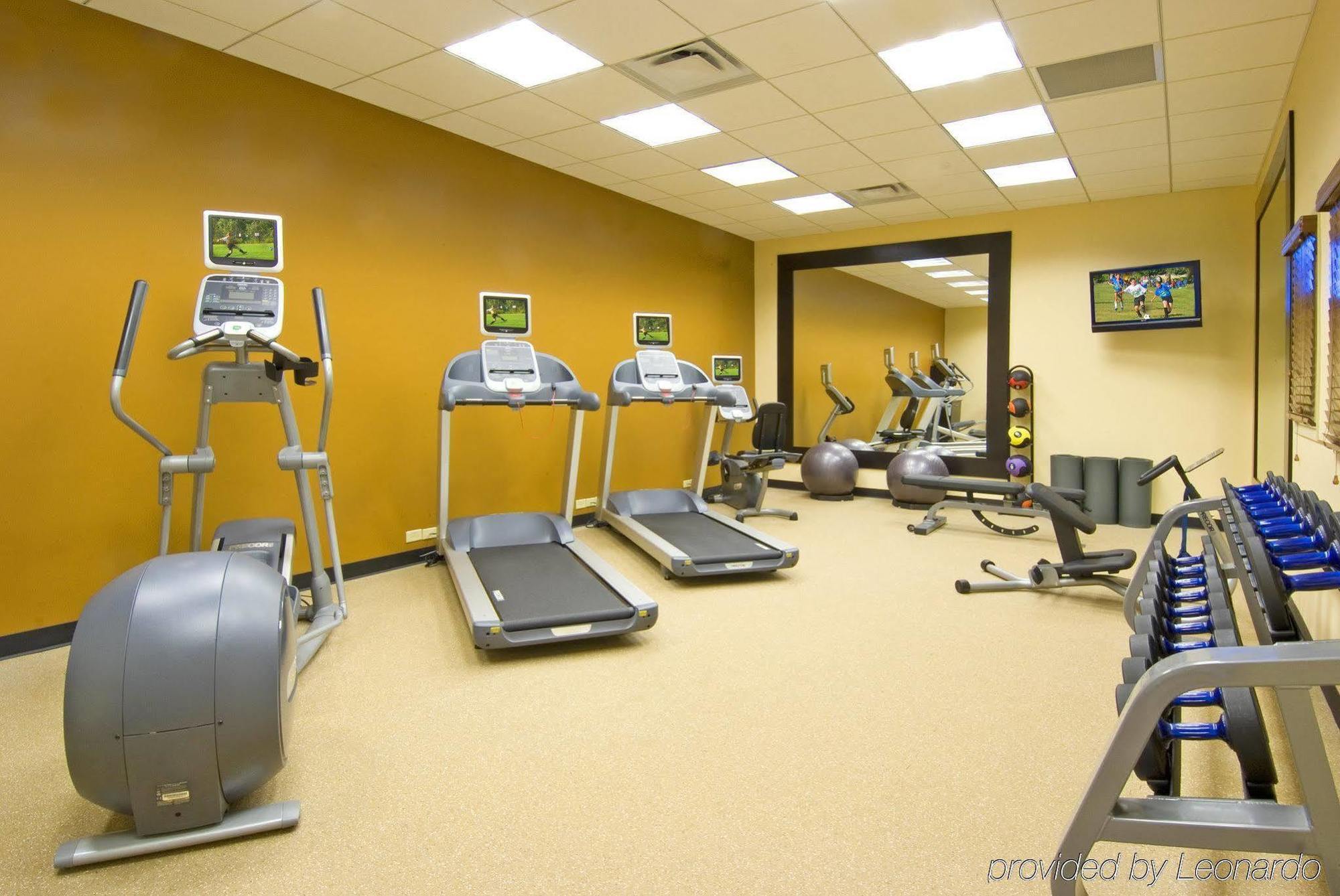Hotel Hilton Garden Airport/westshore Tampa